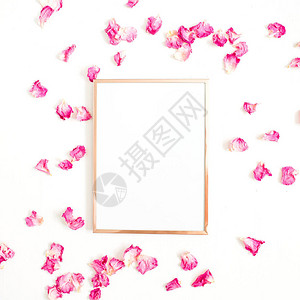 相框模拟了文本空间和白色背景上的粉红色玫瑰花瓣图片