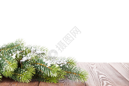 木桌上的圣诞树枝白图片