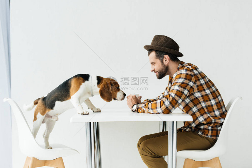 狗在人手中嗅食物的侧视图图片