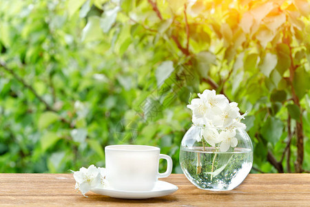 白色茶杯和有茉莉花瓶的白茶绿色在图片