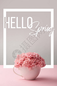 灰色背景的白色杯子中的粉红色康乃馨花图片