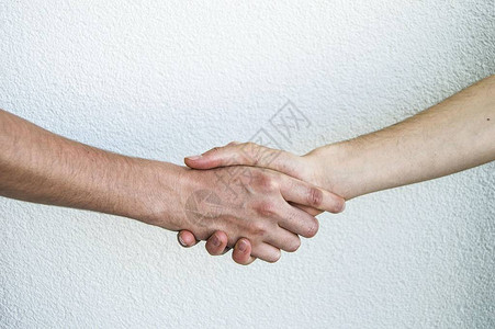 男人握手男商人握手握手图片图片