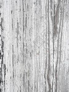 背景的旧grunge白色木材纹理图片