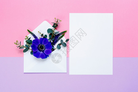粉红色和紫色背景的包装花朵和白纸上的多彩春图片