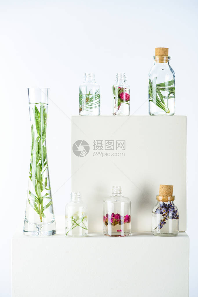花瓶和子天然草药基本油白立方体图片
