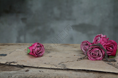 老式旧纸粉红玫瑰在grunge木桌上背景图片
