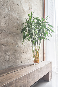 以空房间装饰花瓶的植物背景图片