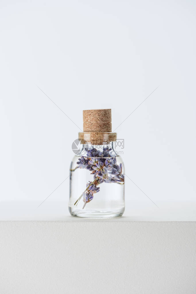 白表面有紫花的天然草药图片
