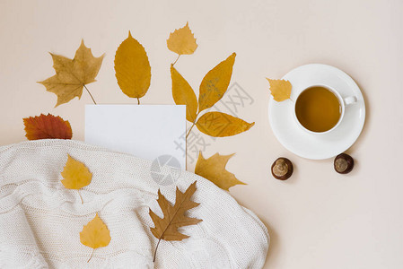 白色针织格子落下的秋黄树叶栗子一杯带碟子的茶和一张空白纸图片