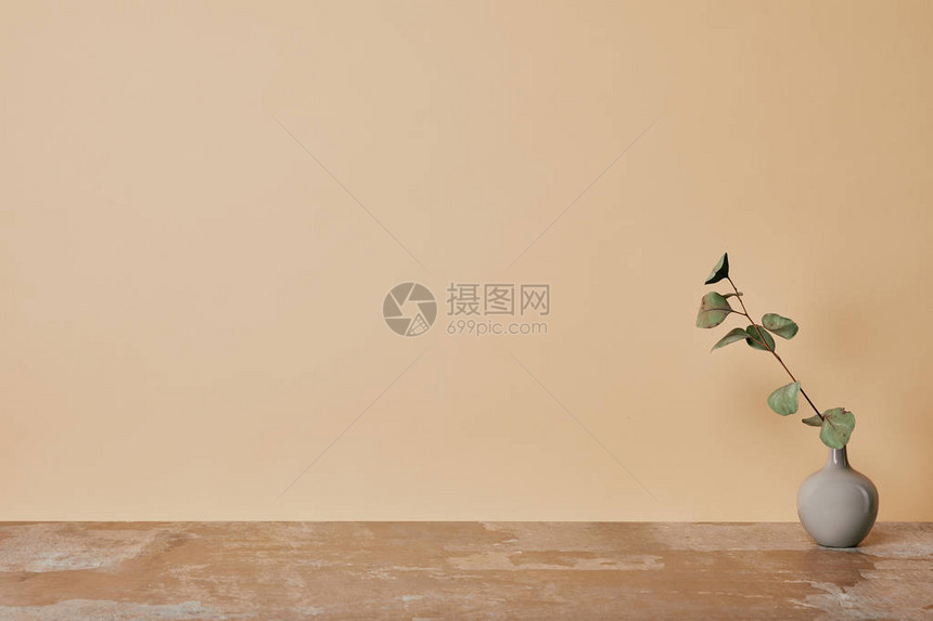 米色背景的桌子上放着花的瓶图片