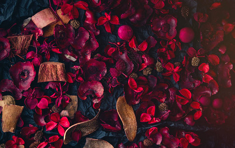 热带红玫瑰花瓣图片