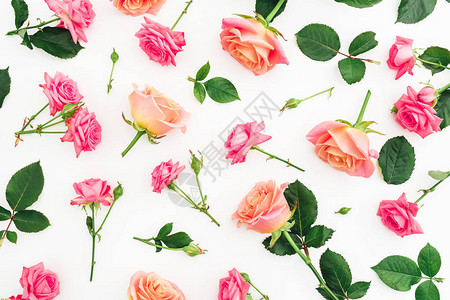 玫瑰花瓣和叶子的花朵模式与白色背景隔绝图片