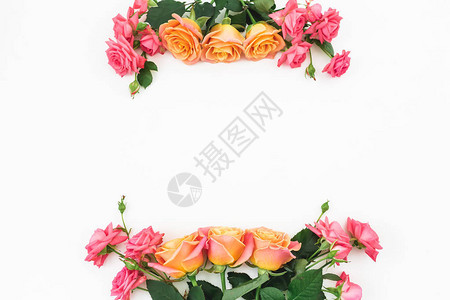花朵框架的玫瑰花和白色背景上的叶子平底顶部视图花粉成图片