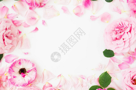 带玫瑰花的框和白色背景的葵朵图片