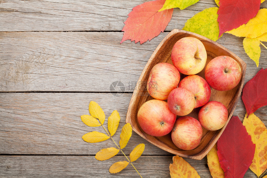 碗中的苹果和多彩的秋叶在有复制空间图片