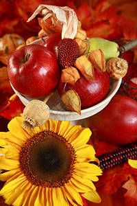 秋天桌上的新鲜苹果和向日葵图片