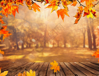木桌有橙色叶子秋天背景图片
