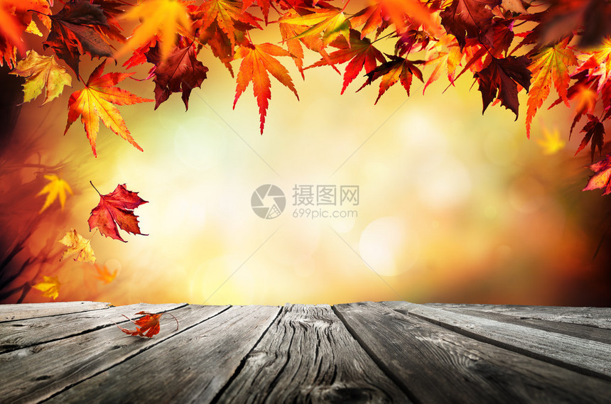 秋天背景与红叶木板图片