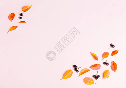 框架由秋季浆果和叶子制成图片