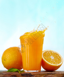 橙汁花图片