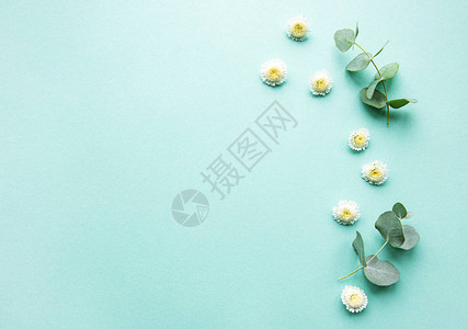 花组成框架由浅绿色背景上的各种五颜六色的花朵制成平躺顶视图片