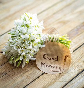 一束美丽精致的花莲和一张圆纸上的早安字样图片