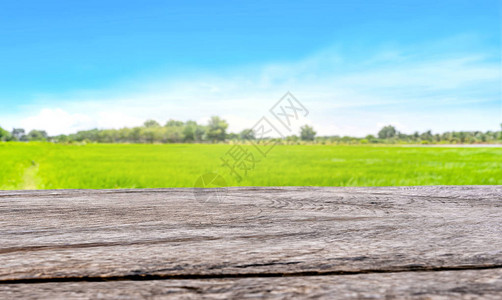 绿色稻田或草原背景前古老的木桌图片