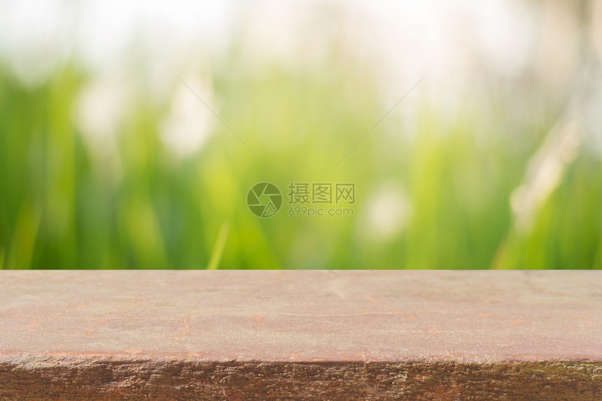 石板空桌前模糊背景森林中模糊树木上的透视棕色岩石可用于展示或蒙太奇您的产品春暖花开的季节图片