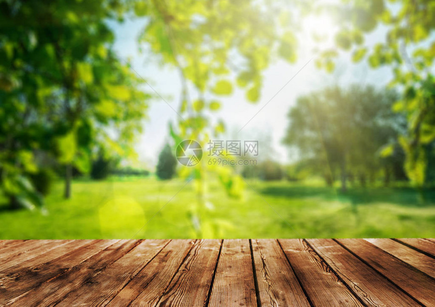 木桌和春天森林背景图片