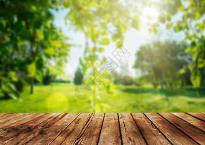 木桌和春天森林背景背景图片