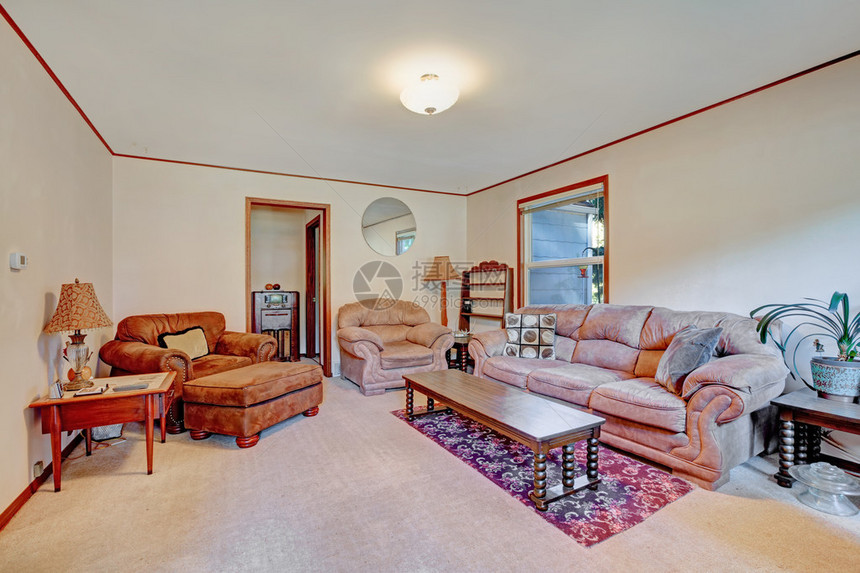 室内客厅有舒适棕色装饰沙发的家居图片