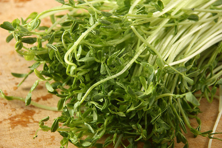 青岛纯生菜板上的豌豆芽背景
