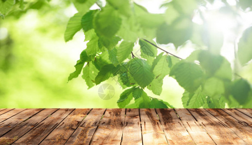 自然背景的空木桌背景图片