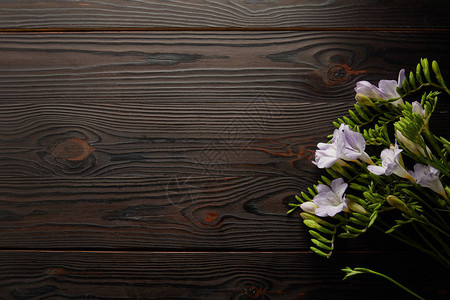 木桌上紫罗兰花束的顶视图背景图片