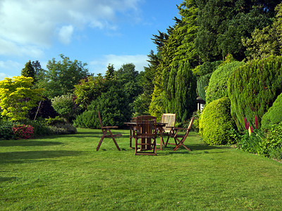 夏末的英式花园图片