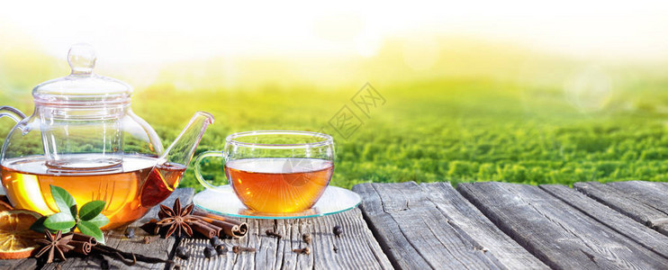 茶时间与茶背景种植园图片