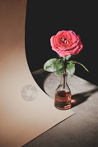 粉红花在石桌上的玻璃瓶中的玻璃瓶中纸图片