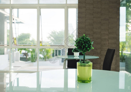 桌子上绿色花瓶中的人工装饰树室背景图片
