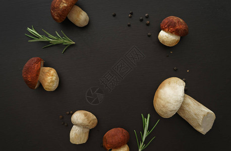 黑色背景中的白蘑菇迷迭香叶和胡椒图片