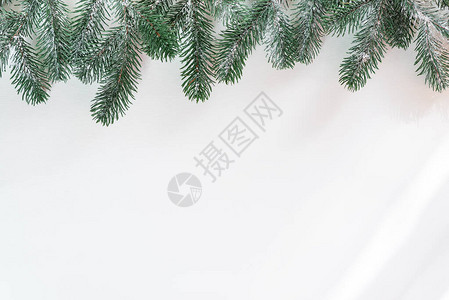 雪中的冷杉树枝与白色背景上的阳光射线圣诞节背景文本的图片