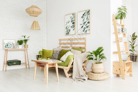 花盖梨在室内生态安装木制架子和在Pouf的植物设计图片