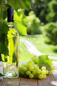 白酒瓶葡萄和花园桌图片