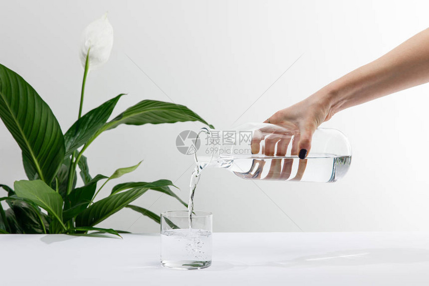 白色表面绿色和平百合花植物附近玻璃瓶中妇女浇水的作物图片