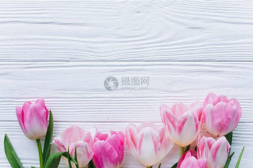 白色木制背景上新鲜粉红色郁金香的边框图片