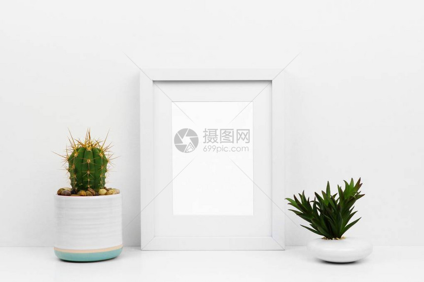在架子或桌子上用仙人掌和多肉植物模拟白色框架图片