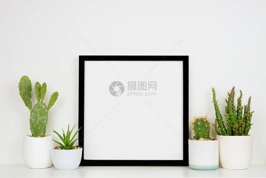 将黑方框架与陶瓷仙人掌和苏普勒植物混合起来白色架子在白墙图片
