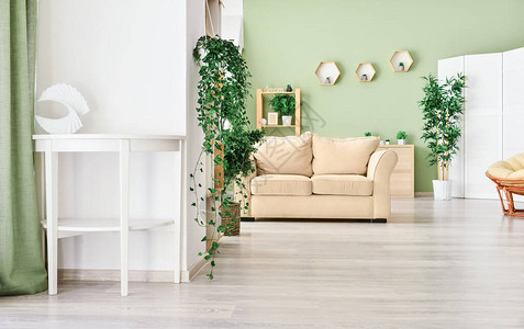 时尚的室内装饰着绿色的室内植物图片