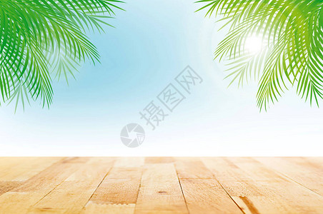 夏季热带天空背景绿色椰子叶的木质表顶图片