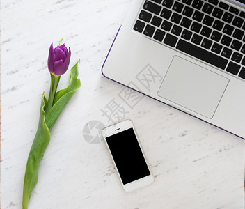 智能手机和一束紫色郁金香花在图片