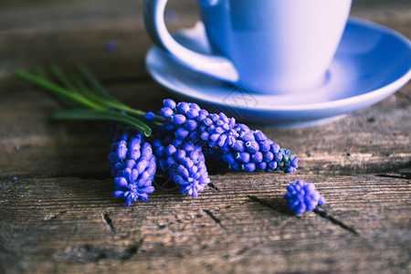 蓝色鲜花和一杯咖啡放图片